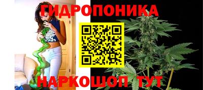 прущие крисы Свободный
