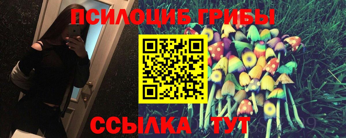 что такое   Вход с VPN  Петрозаводск  Галлюциногенные грибы ЛСД  Псилоцибиновые грибы Psilocybine cubensis 